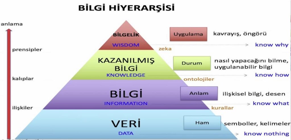 Bilginin Hiyerarşisi 