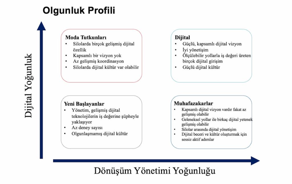 Dijital Olgunluk Profili