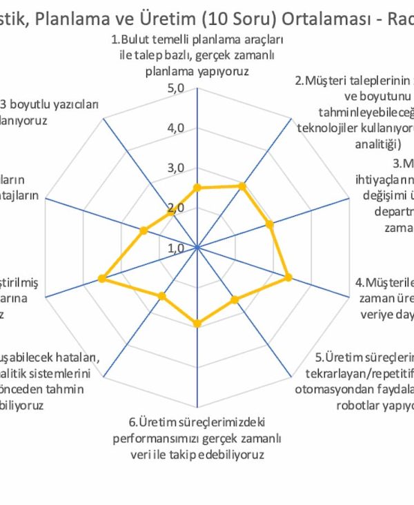 Dijital Dönüşüm Olgunluk Analizi