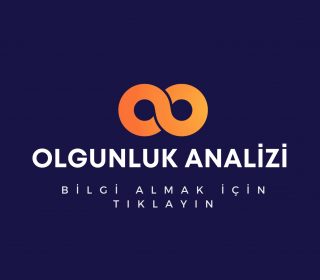 Dijital Dönüşüm Olgunluk Analizi